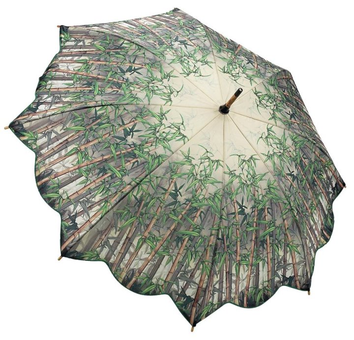 Umbrella, Bamboo umbrella, Umbrellas parasols